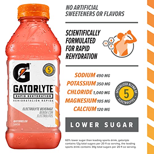 Gatorlyte Rapid Rehydration Electrolyte Beverage, Orange, 20oz Bottles (12 Pack)