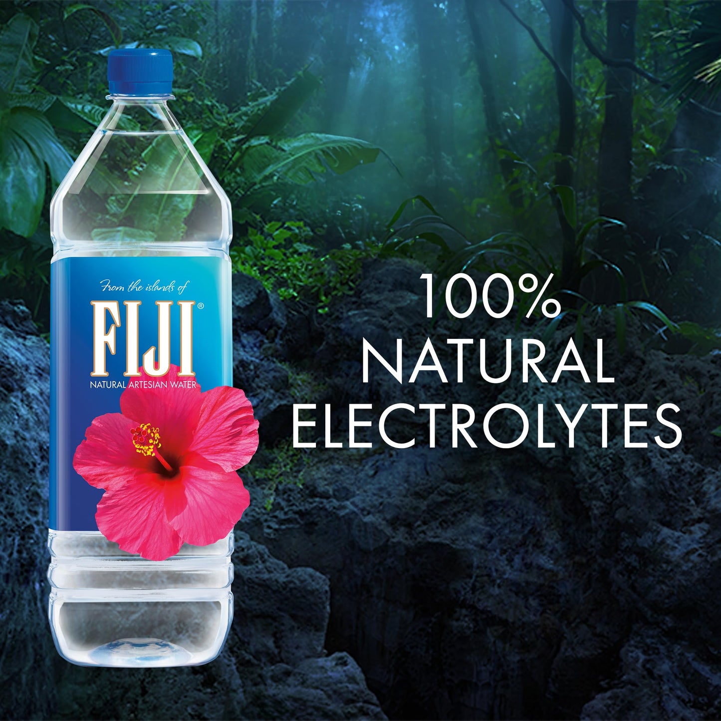 FIJI Natural Artesian Bottled Water 1.5 Liters / 50.7 Fl Ounce (Pack of 12) - 100% Natural Electrolytes